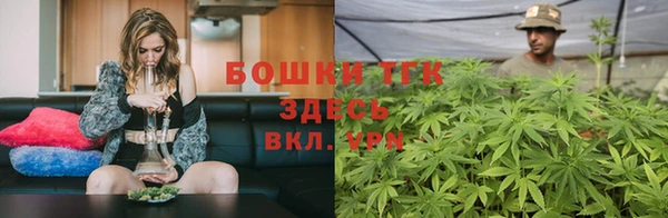дмт Болотное