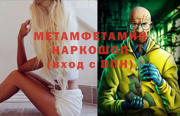 дмт Болотное